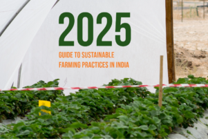 Guide to Sustainable Farming Practices in India